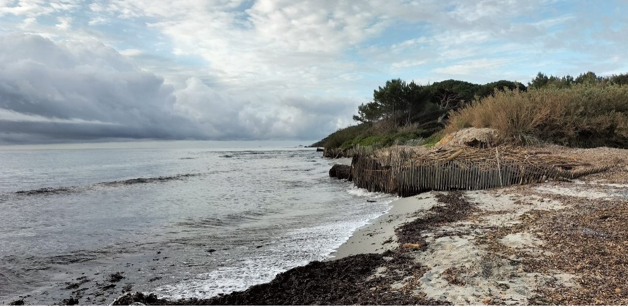 Adoption d’une charte d’engagement en faveur de la préservation des banquettes de posidonie sur les plages