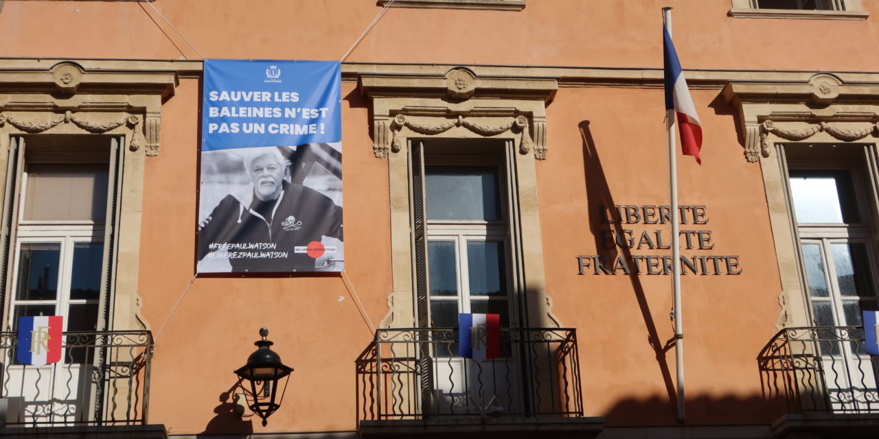 « Sauver les baleines n’est pas un crime ! »