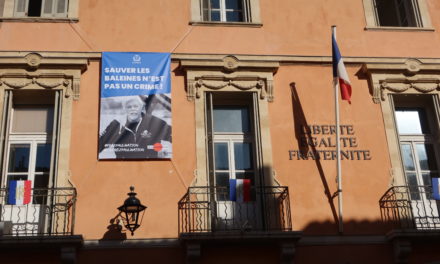 « Sauver les baleines n’est pas un crime ! »